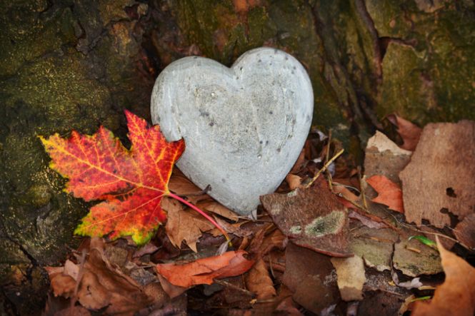 14岁男生在学校性格活泼，回到家却不愿说话，怎么办？